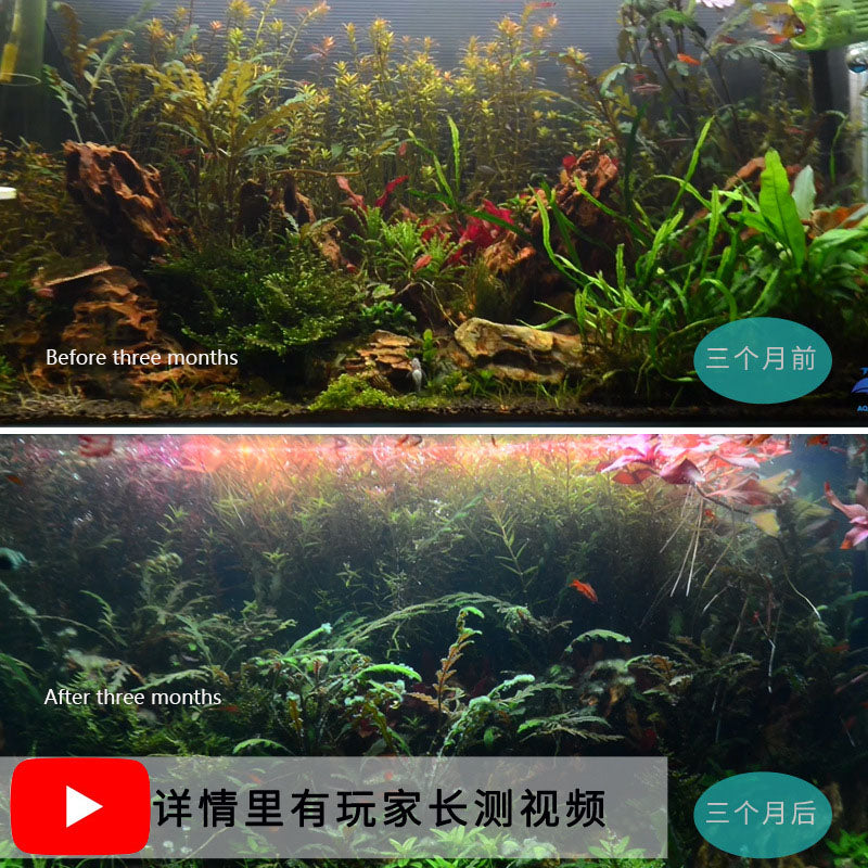 Coco Aquarium Clip On Top WRGB LED Light For Plant Growth and Colourful Fish