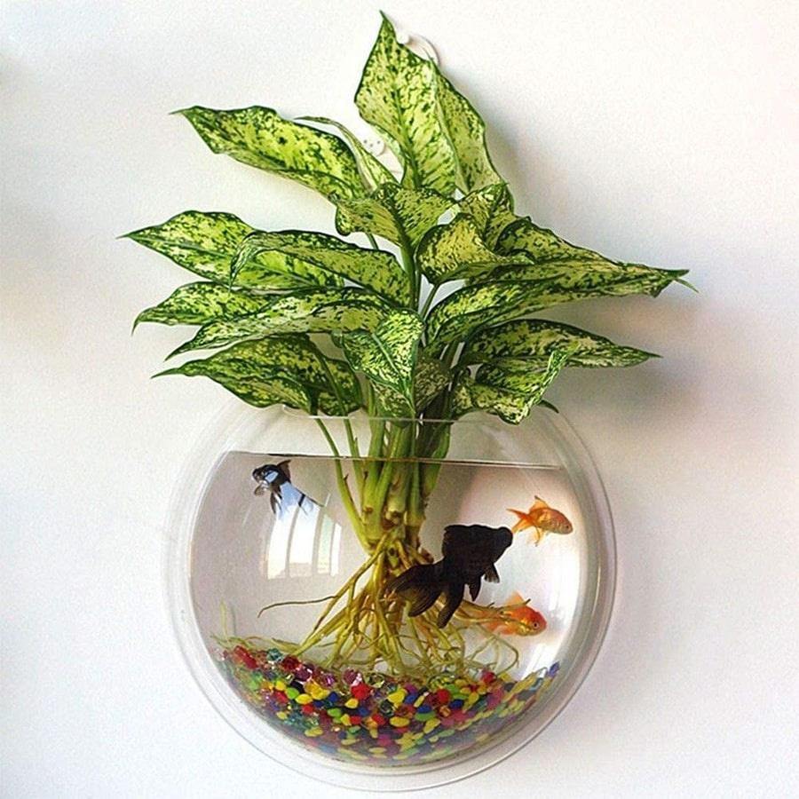 Acrylic Wall Hanging Bowl 15 Inch for Fish and Indoor Plants. - PetzLifeWorld