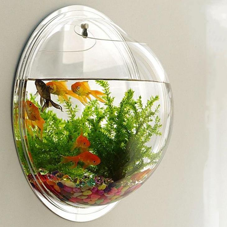 Acrylic Wall Hanging Bowl 15 Inch for Fish and Indoor Plants. - PetzLifeWorld