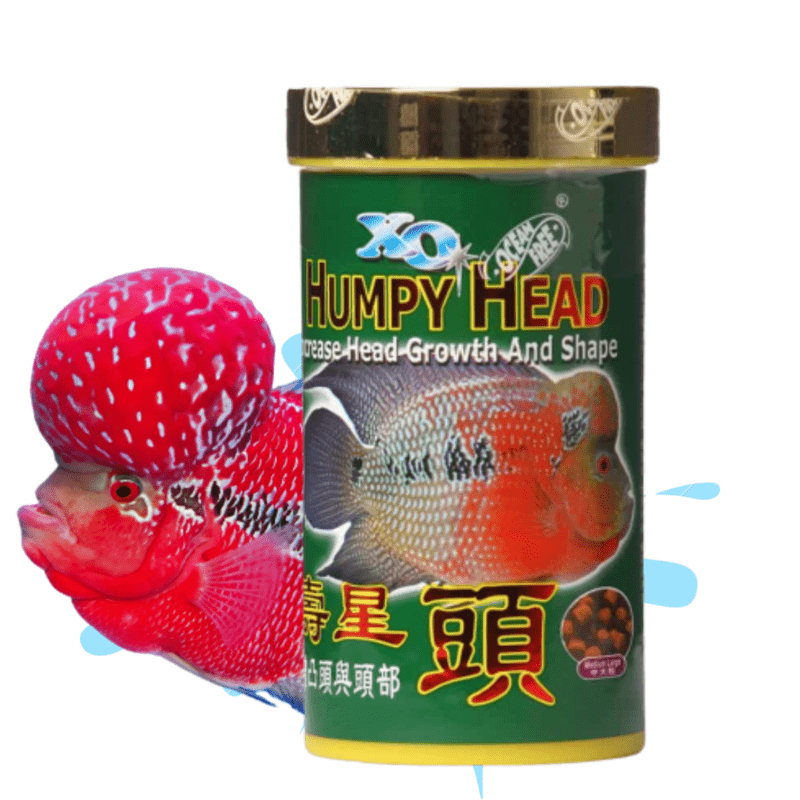 Ocean Free XO Humpy Head (Original) Flowerhorn Fish Food, 280ML/100G ...