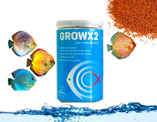 Discus X Grow X2 Slow Sinking Granules 90g For Small Fish Food (0.8-1.2 mm) | Good For Juvenile and Early Adult Stage Fishes