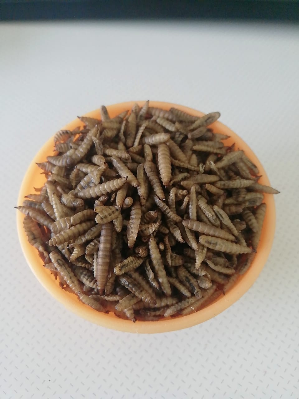 Heredity 100% Natural Delicious & Nutritious Crispy Baked Larvae Floating Fish Food, 100G