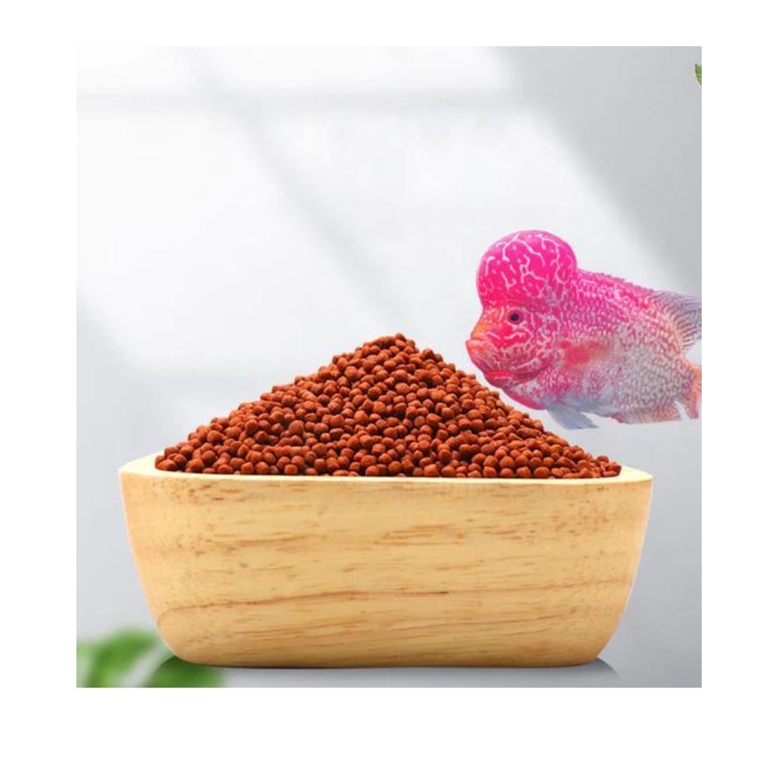 Champion Flowerhorn Feed 100G | High Protein & Superior Color