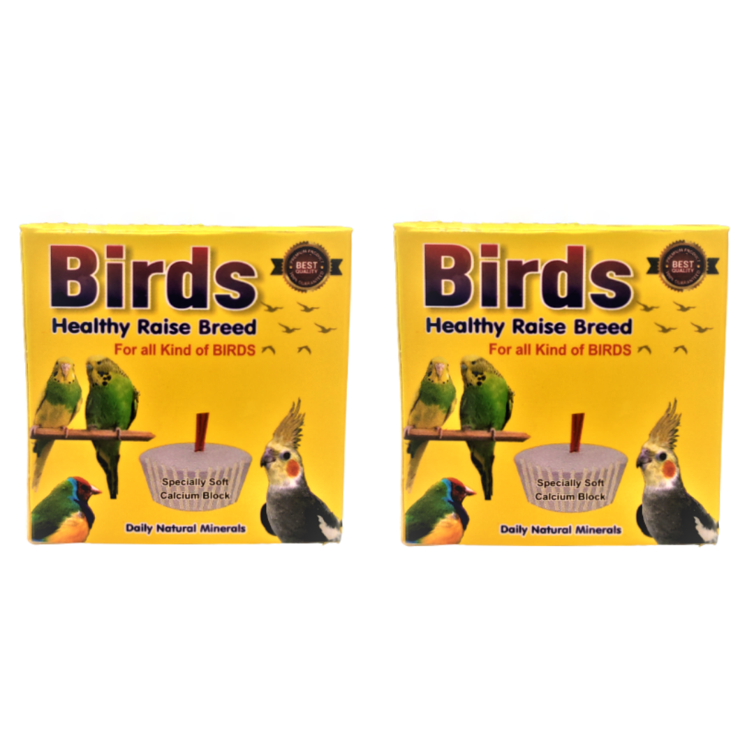 Petzlifeworld Birds Mineral Blocks For Calcium 100G (Pack of 2 )