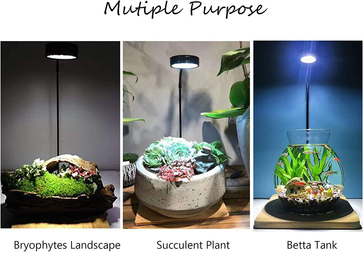 Nature Allels RGB Light For Aquarium and Indoor Plants - PetzLifeWorld