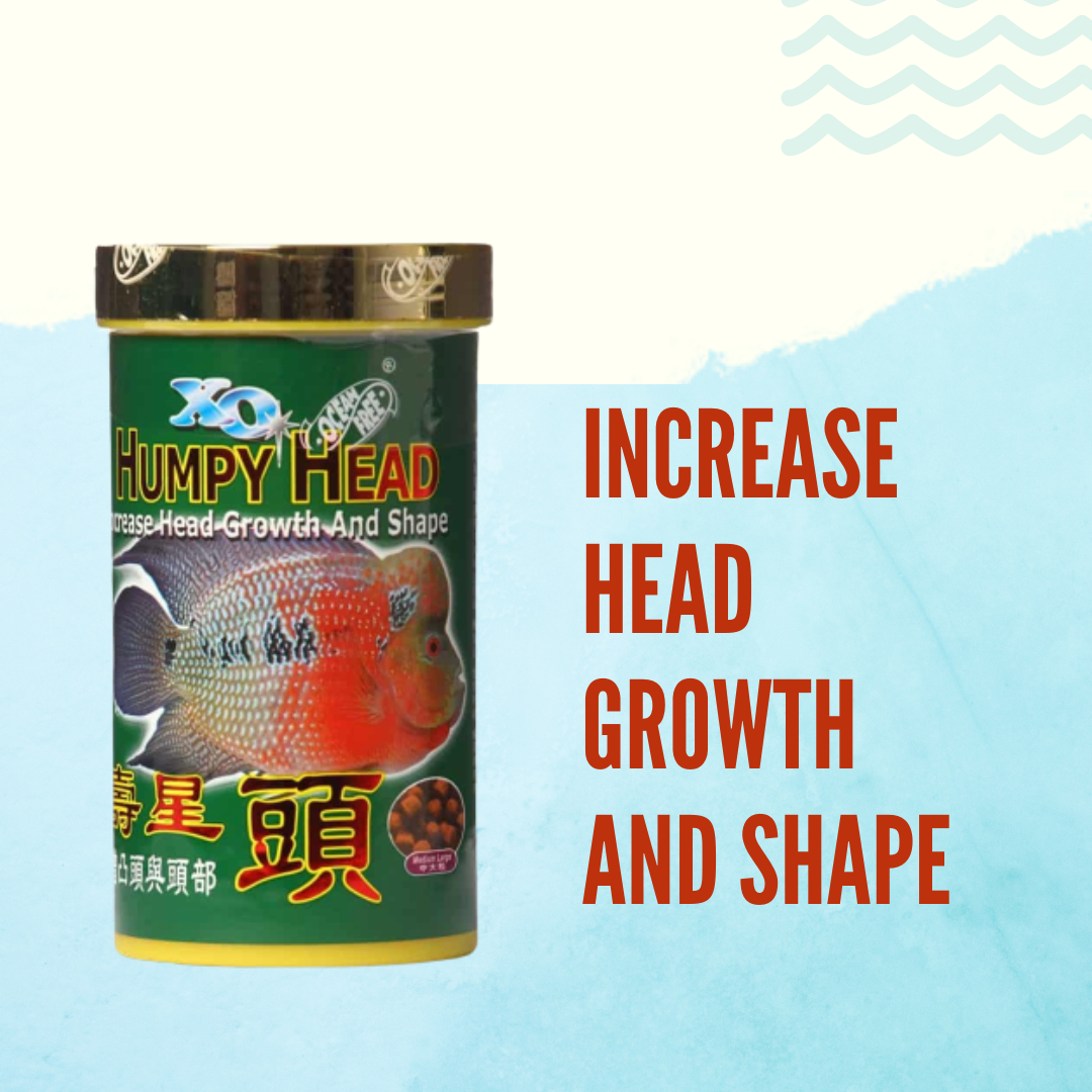 Ocean Free XO Humpy Head (Original) Flowerhorn Fish Food, 280ML/100G ...