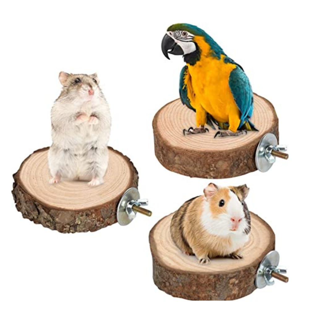 PetzLifeworld Natural Wood Stand Platform Cage Chew Toy for Small Animals Parrot Parakeet Conure Cockatiel Budgie Gerbil Rat Mouse (Pack of 2)