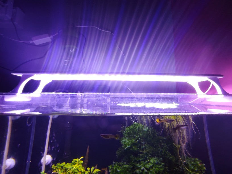 Coco Aquarium Clip On Top WRGB LED Light For Plant Growth and Colourful Fish - PetzLifeWorld