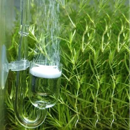 Aquarium Nano Glass Co2 Diffuser - PetzLifeWorld