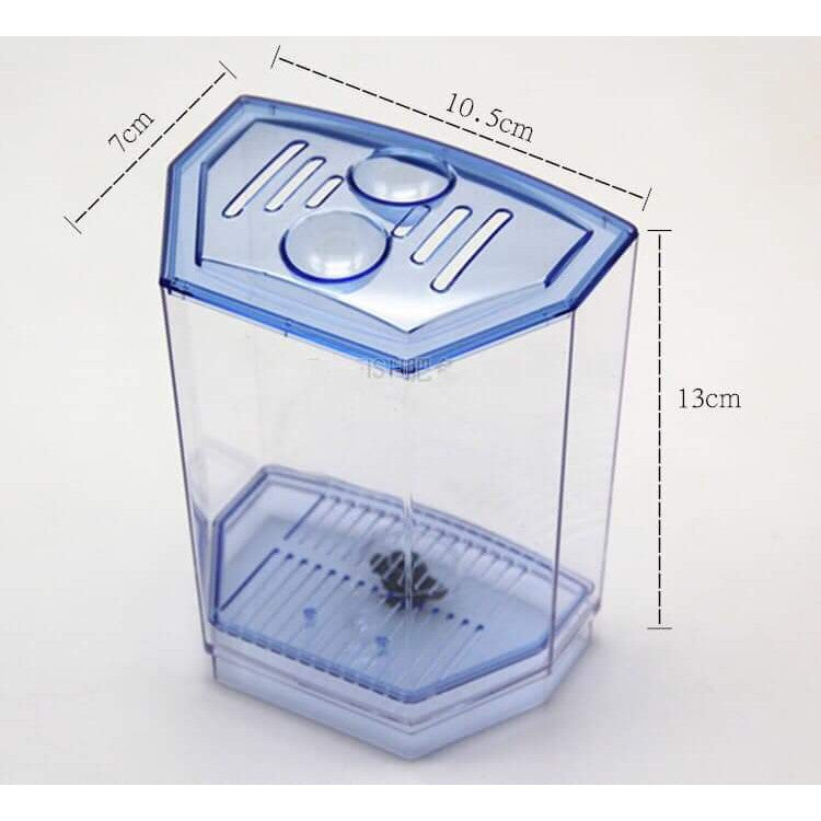 Petzlifeworld Acrylic Mini plastic Fish Tank /Betta / Fighter - PetzLifeWorld
