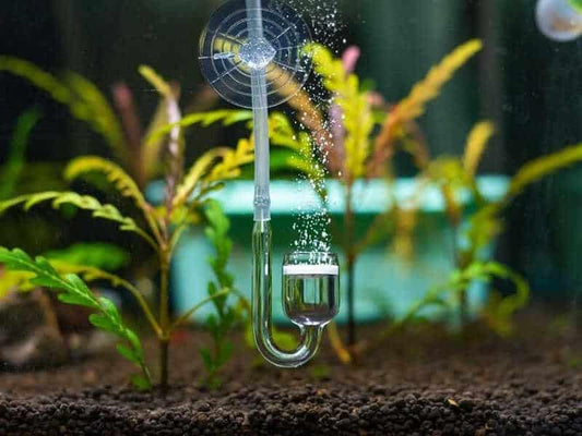 Aquarium Nano Glass Co2 Diffuser - PetzLifeWorld