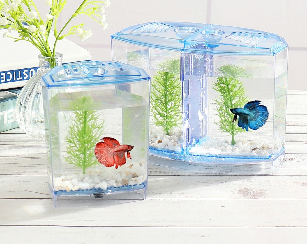 Petzlifeworld Acrylic Mini plastic Fish Tank /Betta / Fighter