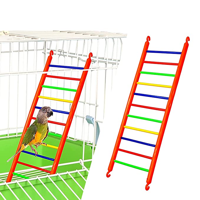 Petzlifeworld Bird Cage Hanging Ring Swing Toy (2 Pcs) + Plastic Climb Ladder Toy (1 Pcs) + Bell Ball Toy (2 Pcs) Combo for Cockatiel, Love Bird, Budgie, Finches, Macaws, Conures, Sparrow, etc.