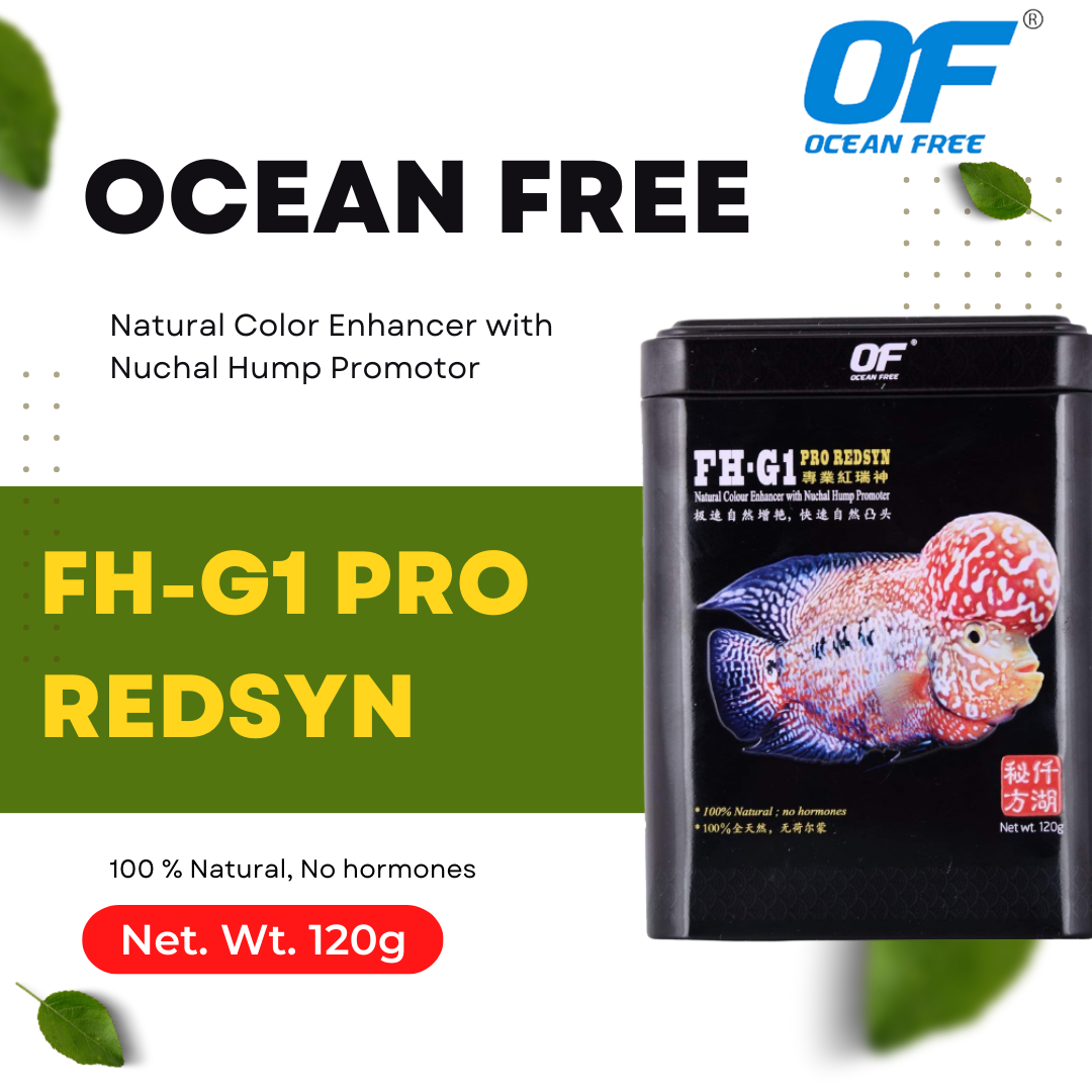 Ocean Free FH-G1 Pro Redsyn (Original) Flower Horn Fish Food, 120G | Natural Colour Enhancer with Nuchal Hump Promoter