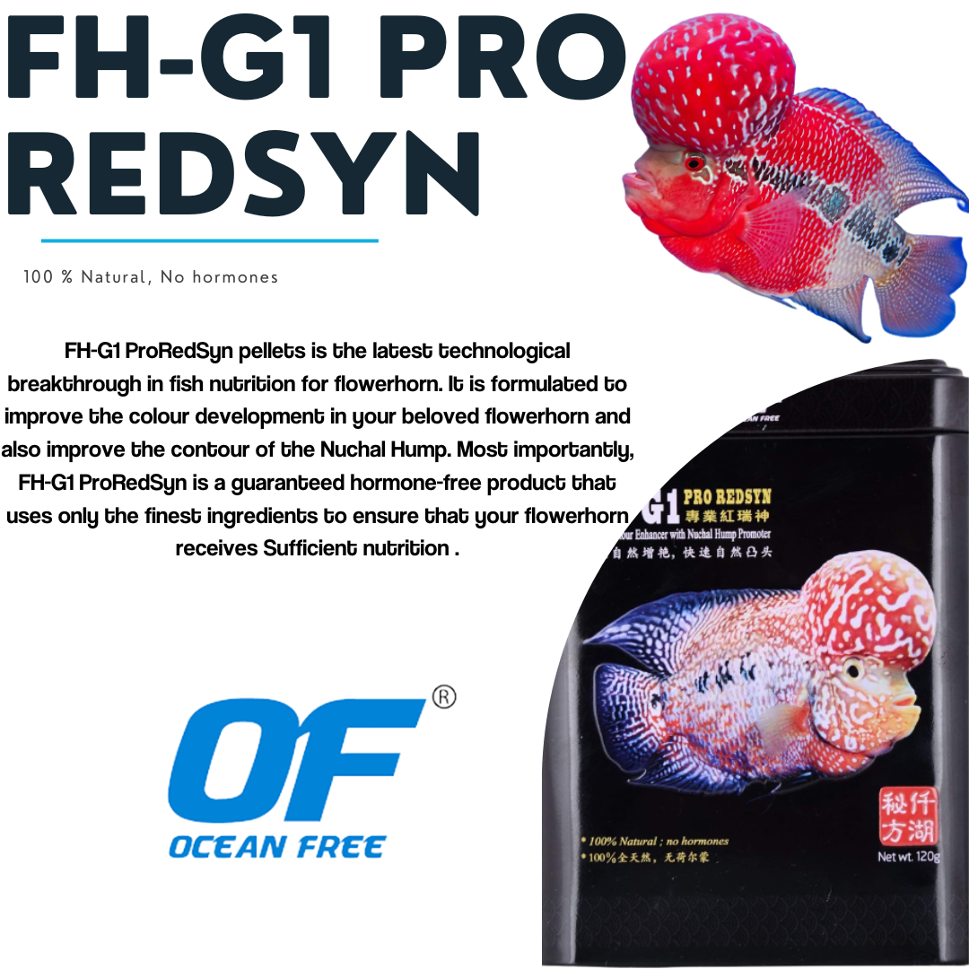 Ocean Free FH-G1 Pro Redsyn (Original) Flower Horn Fish Food, 120G | Natural Colour Enhancer with Nuchal Hump Promoter
