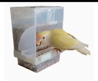 PetzLifeworld Anti Spill White Cage Fitting Plastic Feeder for Birds 500Ml