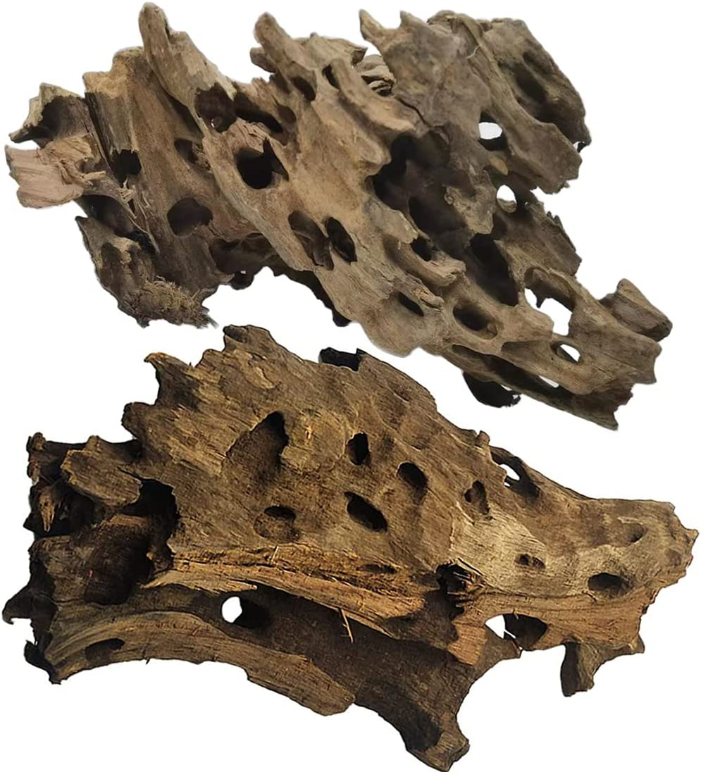 Honey Comb Natural Drift Wood | Dragon Wood | Shrimp Wood For Aquarium and Terrarium and Reptiles
