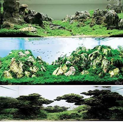 Seiryu Rock for Aquascaping, Aquariums, Terrariums, Vivariums River Rock - PetzLifeWorld