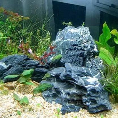 Seiryu Rock for Aquascaping, Aquariums, Terrariums, Vivariums River Rock - PetzLifeWorld